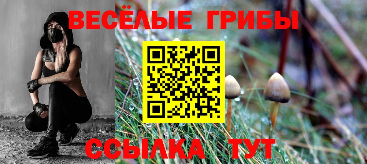 Приморско-Ахтарск  Галлюциногенные грибы прущие грибы  наркота  Вход с VPN  Псилоцибиновые грибы Psilocybine cubensis 